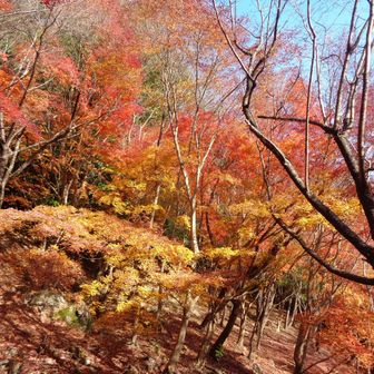 ここはきれいでした