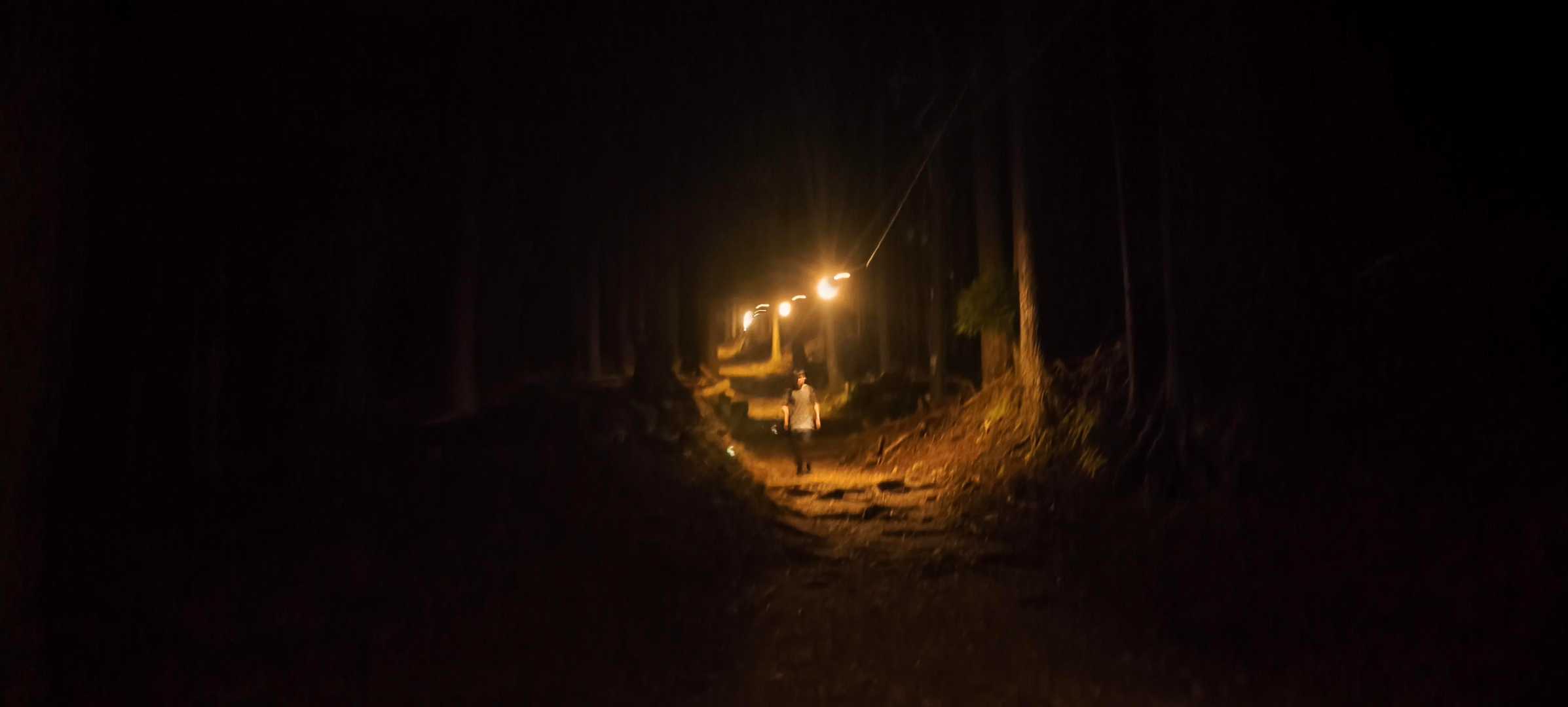愛宕山往復 | 全国に約900社を数える愛宕神社総本宮への参詣登山の写真
