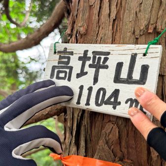 ラストの高坪山到着