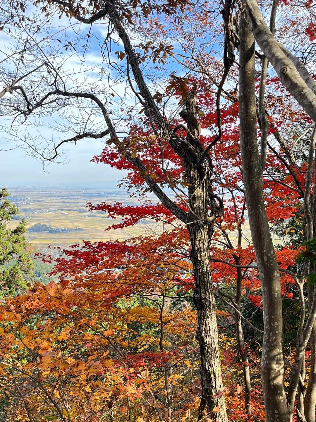 弥彦山-弥彦山ロープウェイ 縦走コースの写真