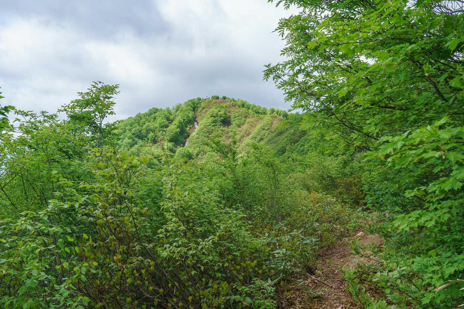 鏡山の山頂が見えた