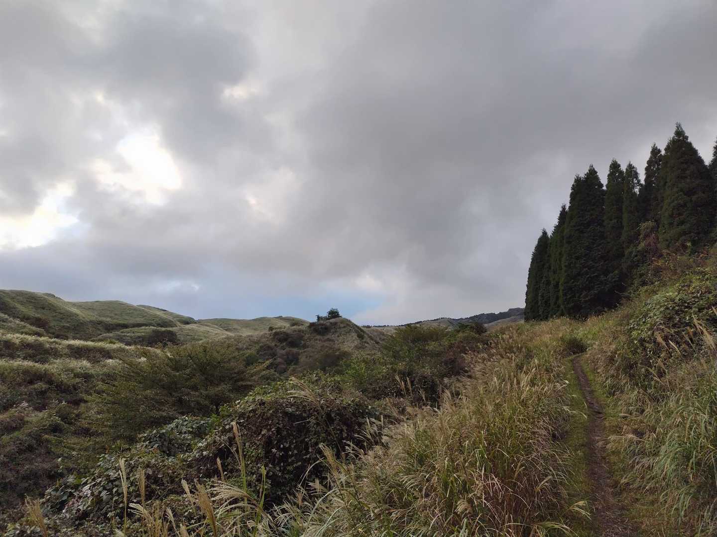 ススキ野原と雲