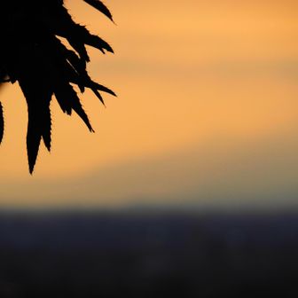                                    夕陽🌇