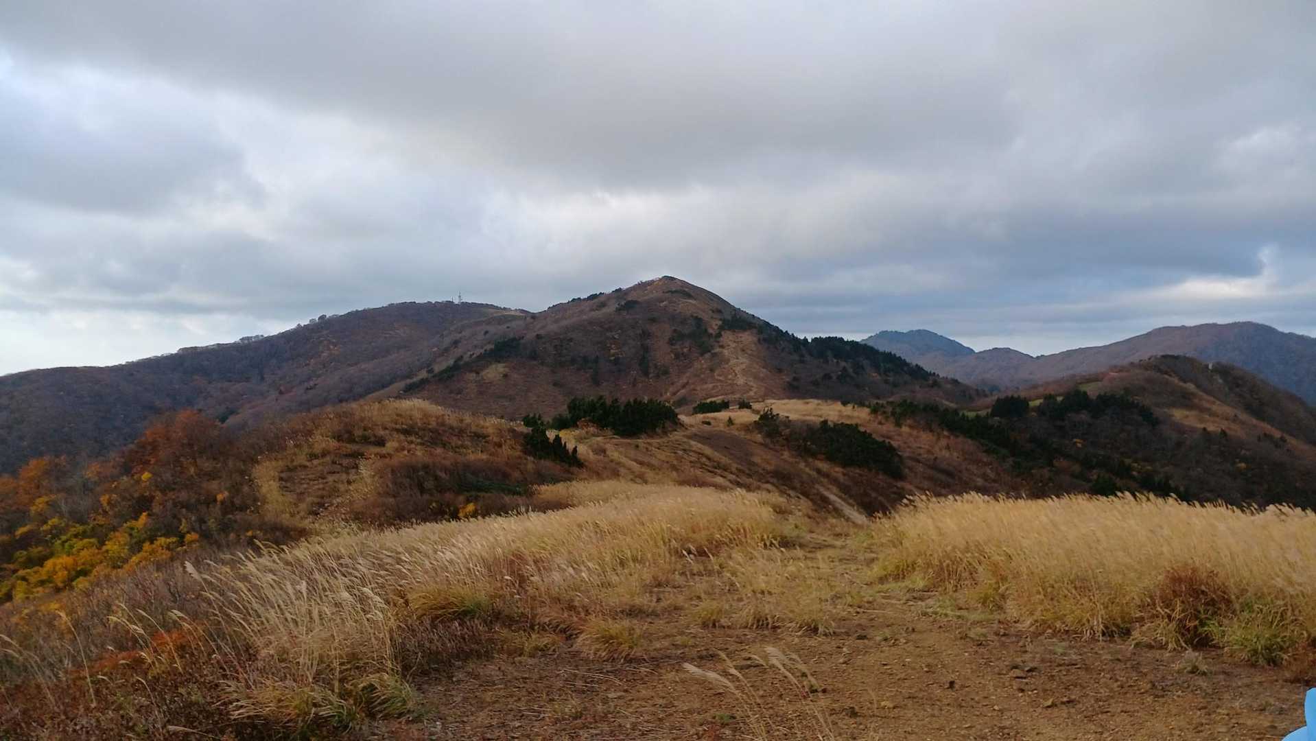 尻立山-論天山-芝尻山 往復コースの写真