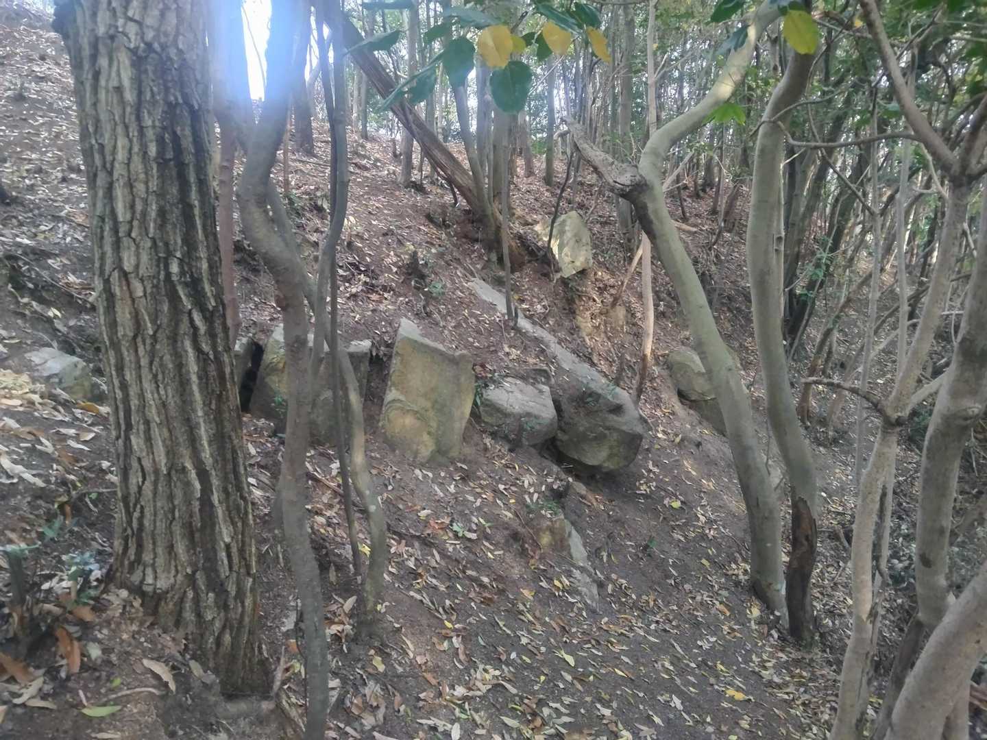 山城の石垣跡