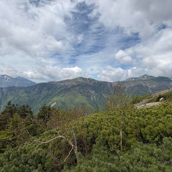 左から悪沢岳、蝙蝠岳、塩見岳。

素晴らしい！！
