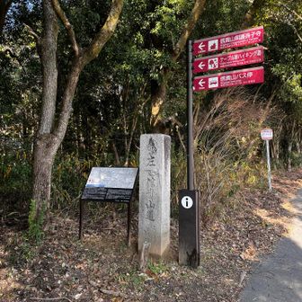 ここからケーブルカー後の線路を歩きます