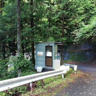 バイオトイレ有り