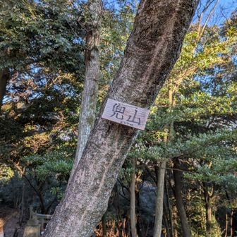 兜山に到着、眺望無し