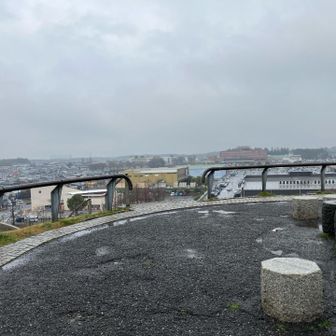雨の日でもお散歩してるひと
私以外にもいました