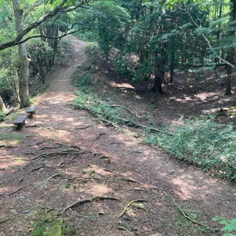 まだまだひと踏ん張り