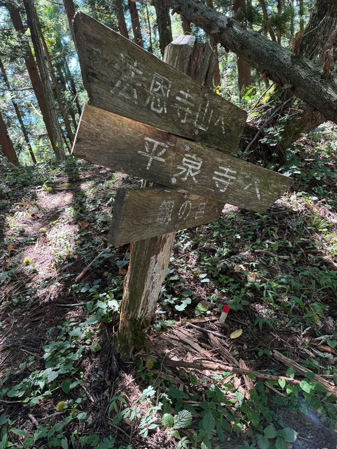 大師山登り口-大師山-三頭山-白山禅定道入口 縦走コースの写真
