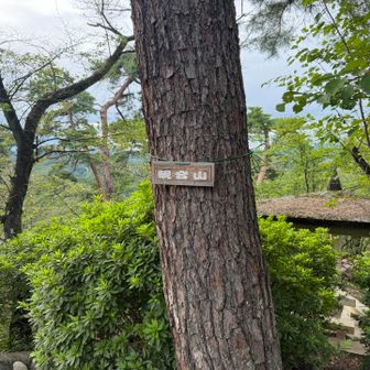 観音山の山頂