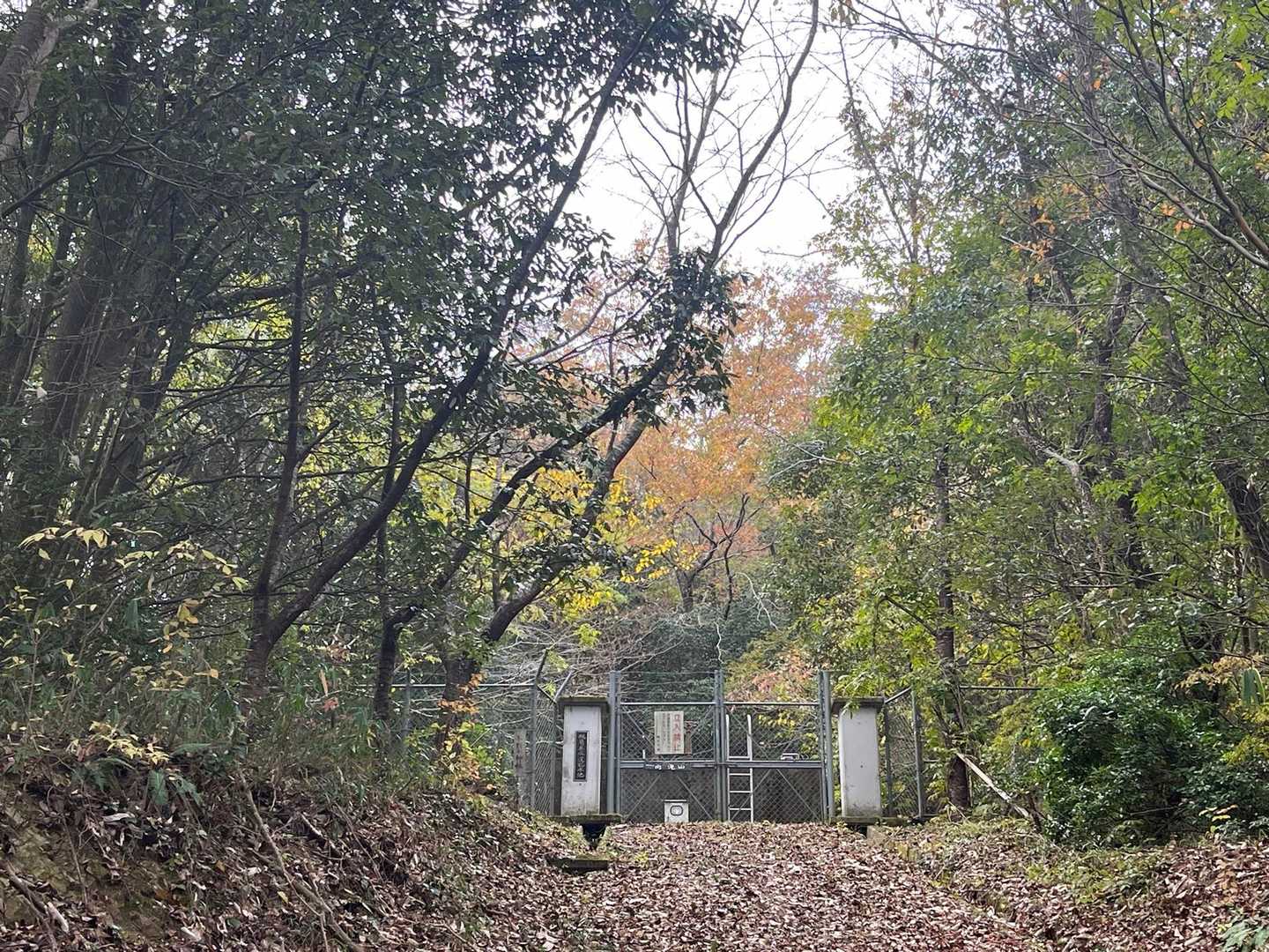 木野山登山口-高滝山-高滝山妙見ルート登山口 周回コースの写真