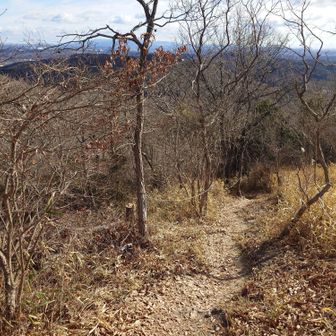さて、いつもなら同じ道を帰るのですが、今日は時間たっぷりなので、周回ルートを行こうと思います