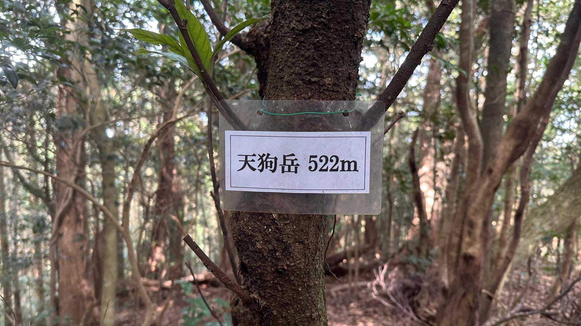 ㊗️初登頂でした