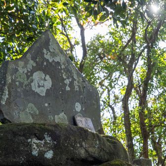 物見塚にトーチャク