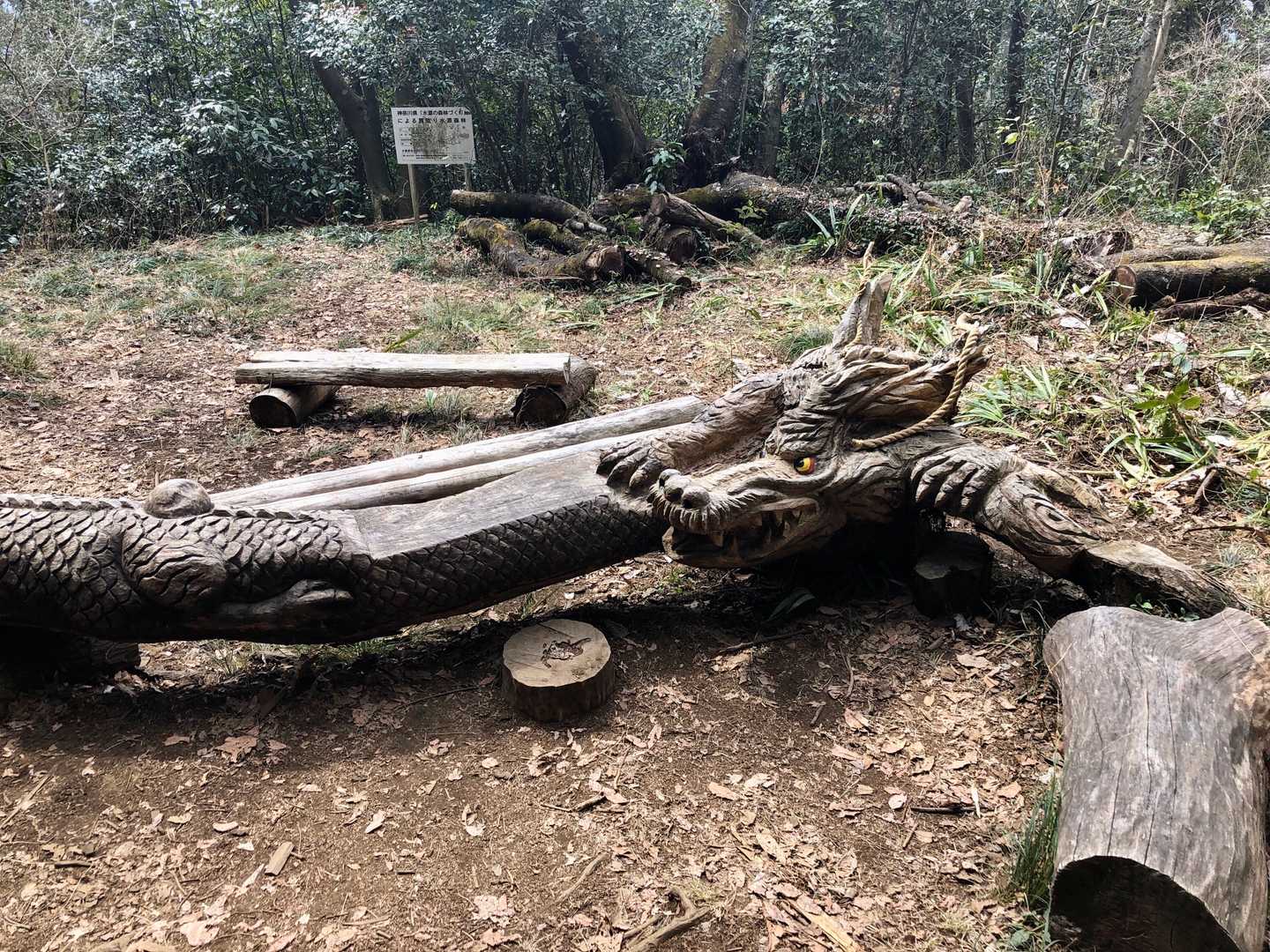 大垂水峠から南高尾山稜 縦走コース　の写真
