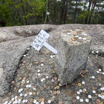 こんなにお金に囲まれた三角点は初めて見た