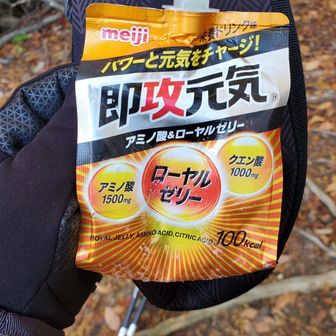 今日は即攻元気
凍らせて携行していますがさすがにこの時期一回で飲み切れません