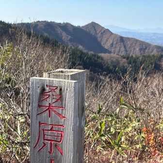表示板越しの鳴倉山⛰️