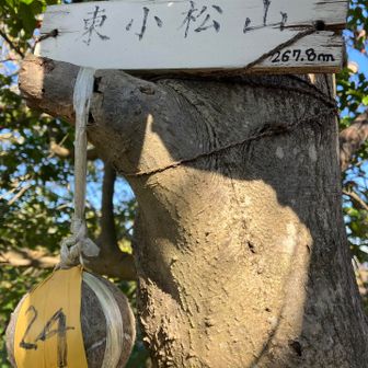 東小松山⛰️