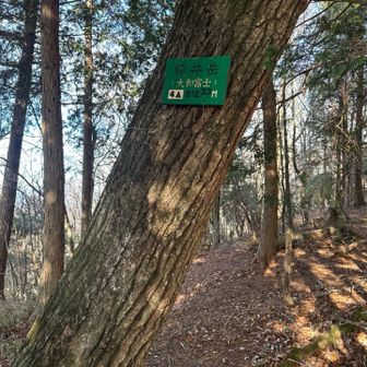 額井岳頂上。眺望殆ど無し😢