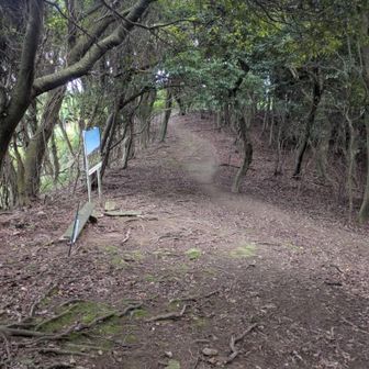 鬼ヶ城西登山口に合流