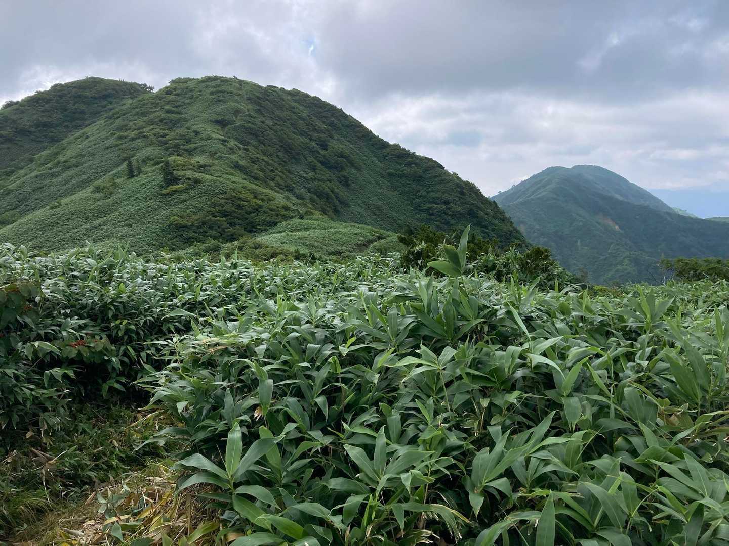 石徹白登山口-銚子ヶ峰-三ノ峰 往復コースの写真