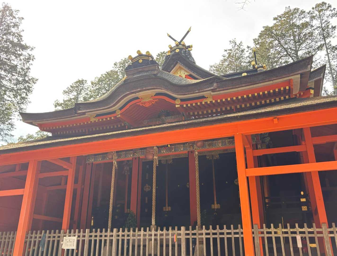 やっと本堂にたどり着きました
修行🧘は楽しかったけど、一回でお腹いっぱいです😆

行場巡りをしなかったら本堂は鳥居⛩️からすぐです
恒例の色々をお願い🙏