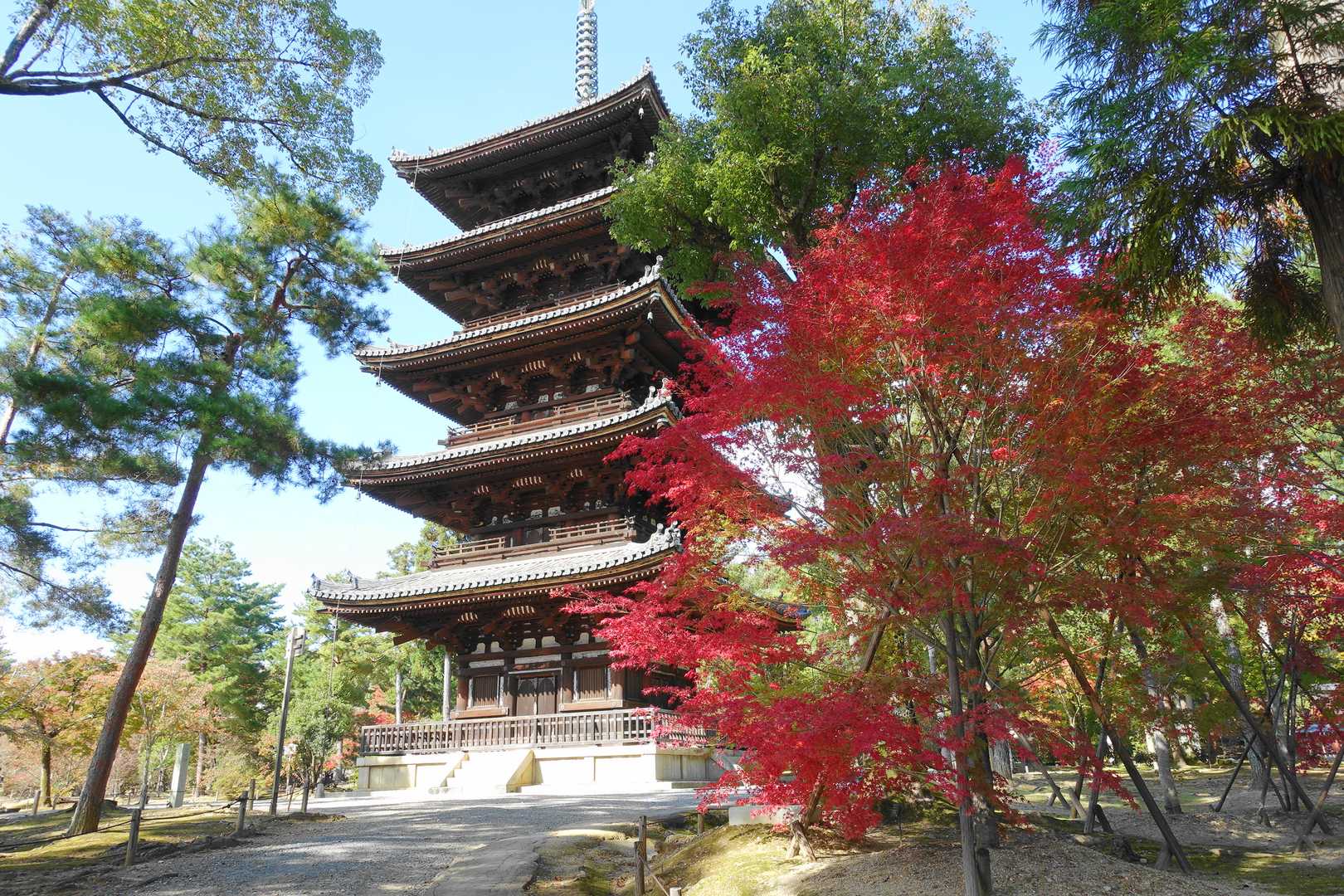 五重塔に戻ってきた
