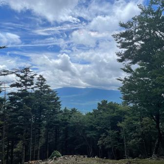 金山から、富士山🗻