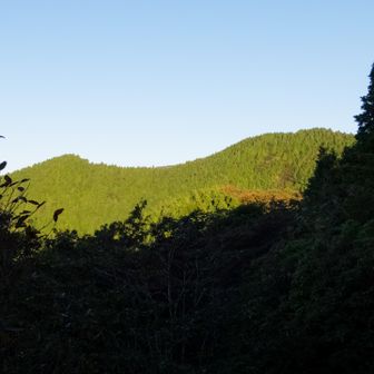 荒尾山が見えました。