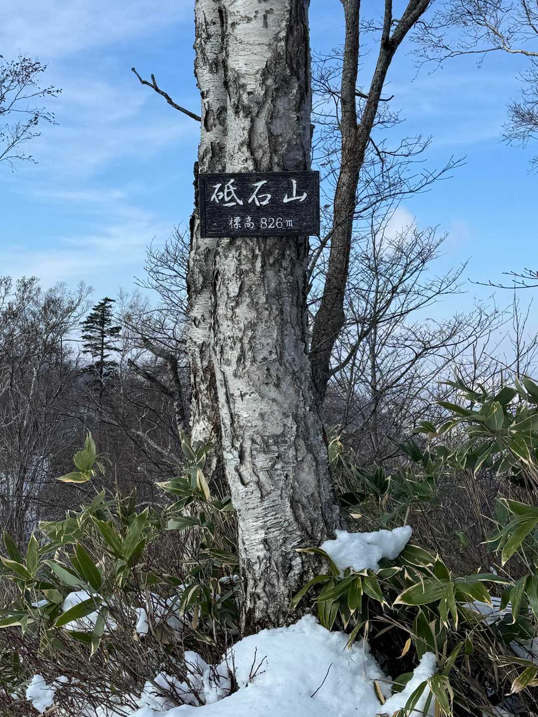 小林峠-砥石山 往復コースの写真