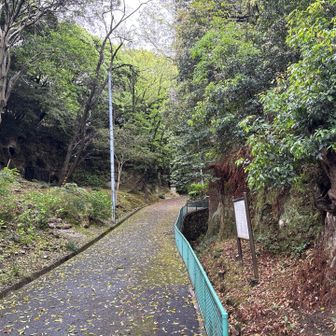 安福寺横穴群から安福寺へのルート