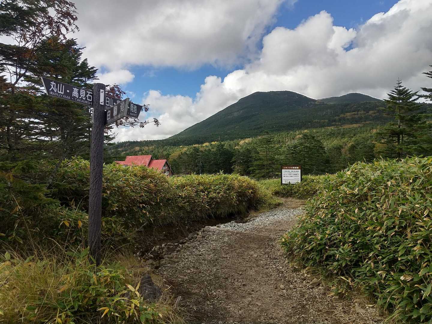 森を抜けると茶臼山、縞枯山と手前に麦草ヒュッテの赤い屋根
