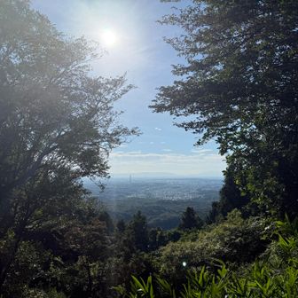 物見山からのVIEW