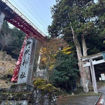 今日も参道を登ります。
9割以上がケーブルカーで登られるので、参道はほぼ貸切状態