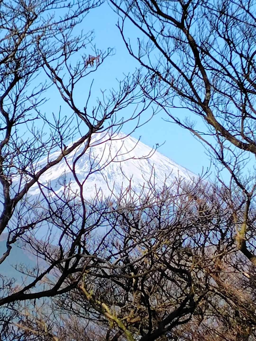 見えました！