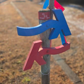 可愛いアートな看板