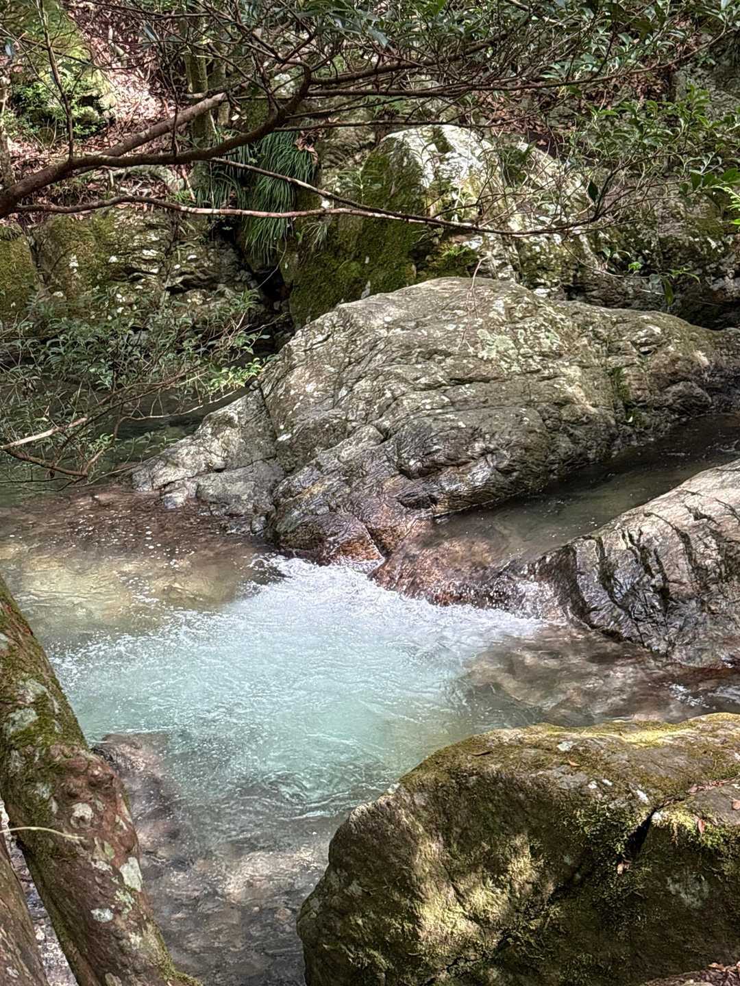 川が気持ちよさそ