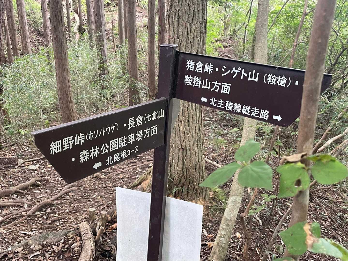 さて、こちらの分岐まで来ましたが
またまたこちらで北尾根コースから下山します

黒川コース
1回目　手岡峠まで
2回目　富士見峠まで
3回目　こちらの分岐まで( ´ ཫ ` )

どんどん距離短くなってるやんけ。。