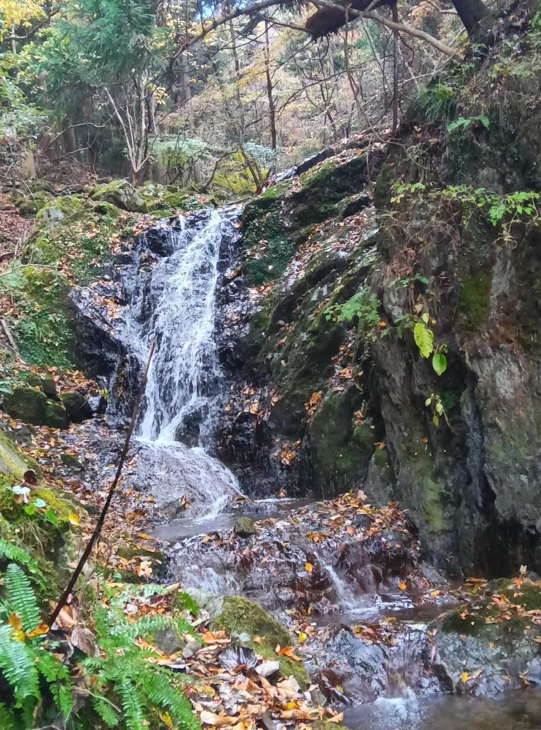 虹ヶ滝のまだ上の滝