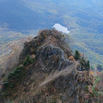 アリの塔渡りと鏡池
