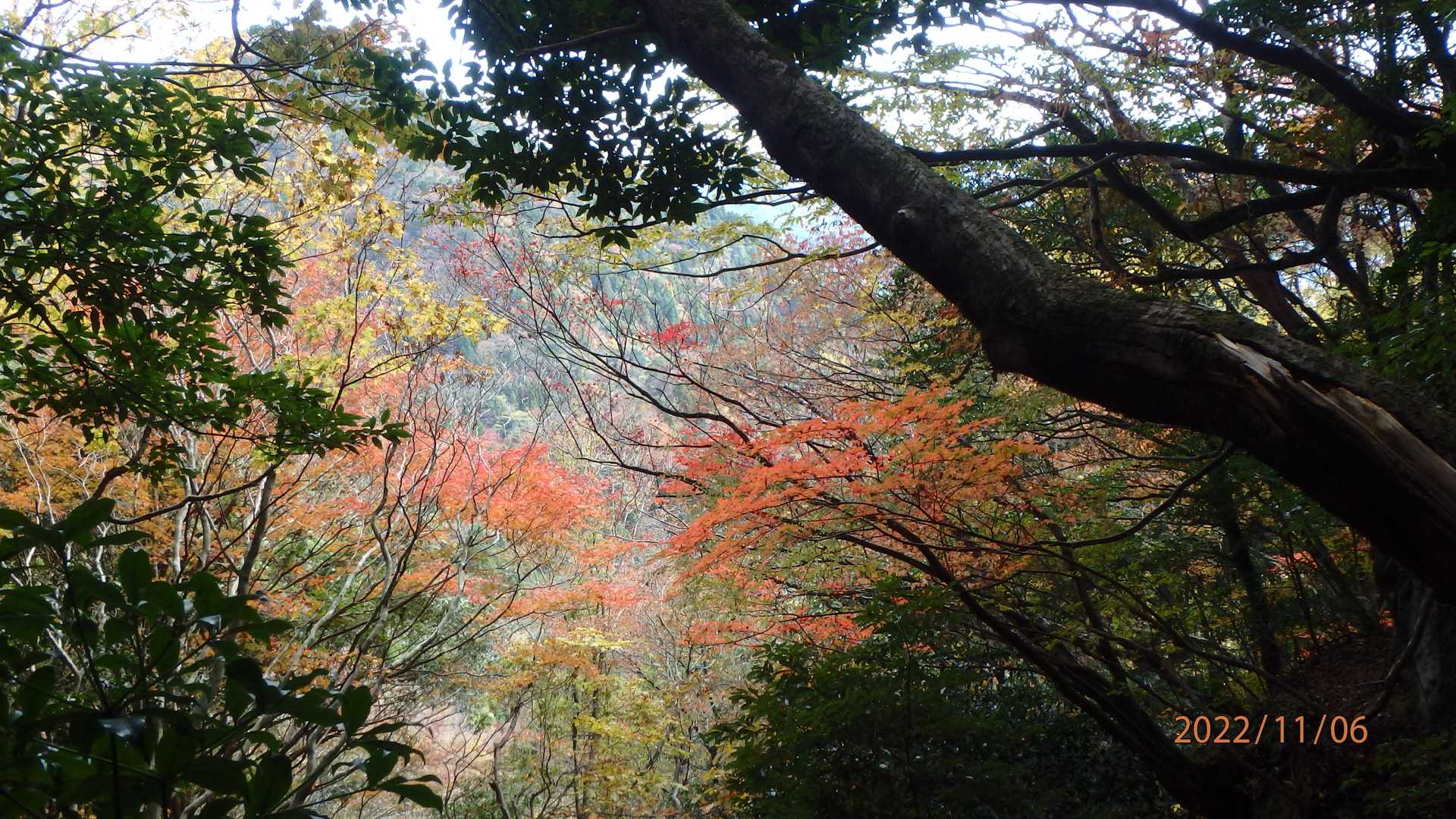 深倉越-岳滅鬼山-岳滅鬼岳-岳滅鬼峠 周回コースの写真