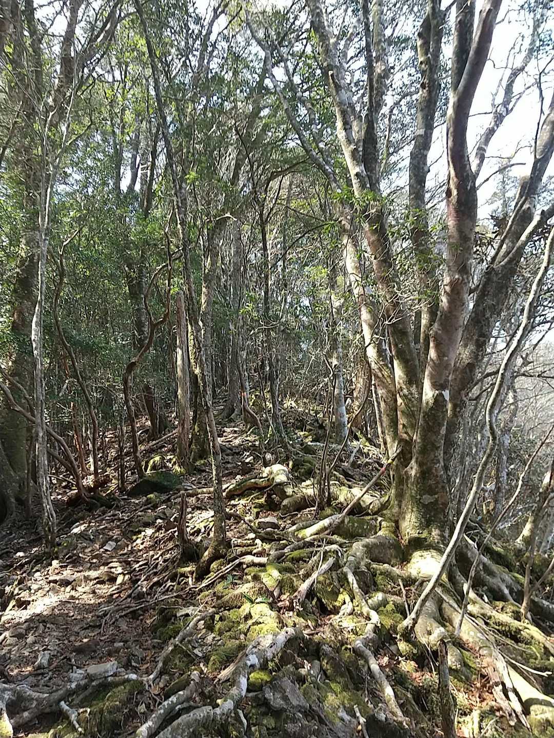 少し風景が変わってきました