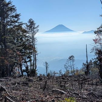 ここから富士山🗻よく見えます