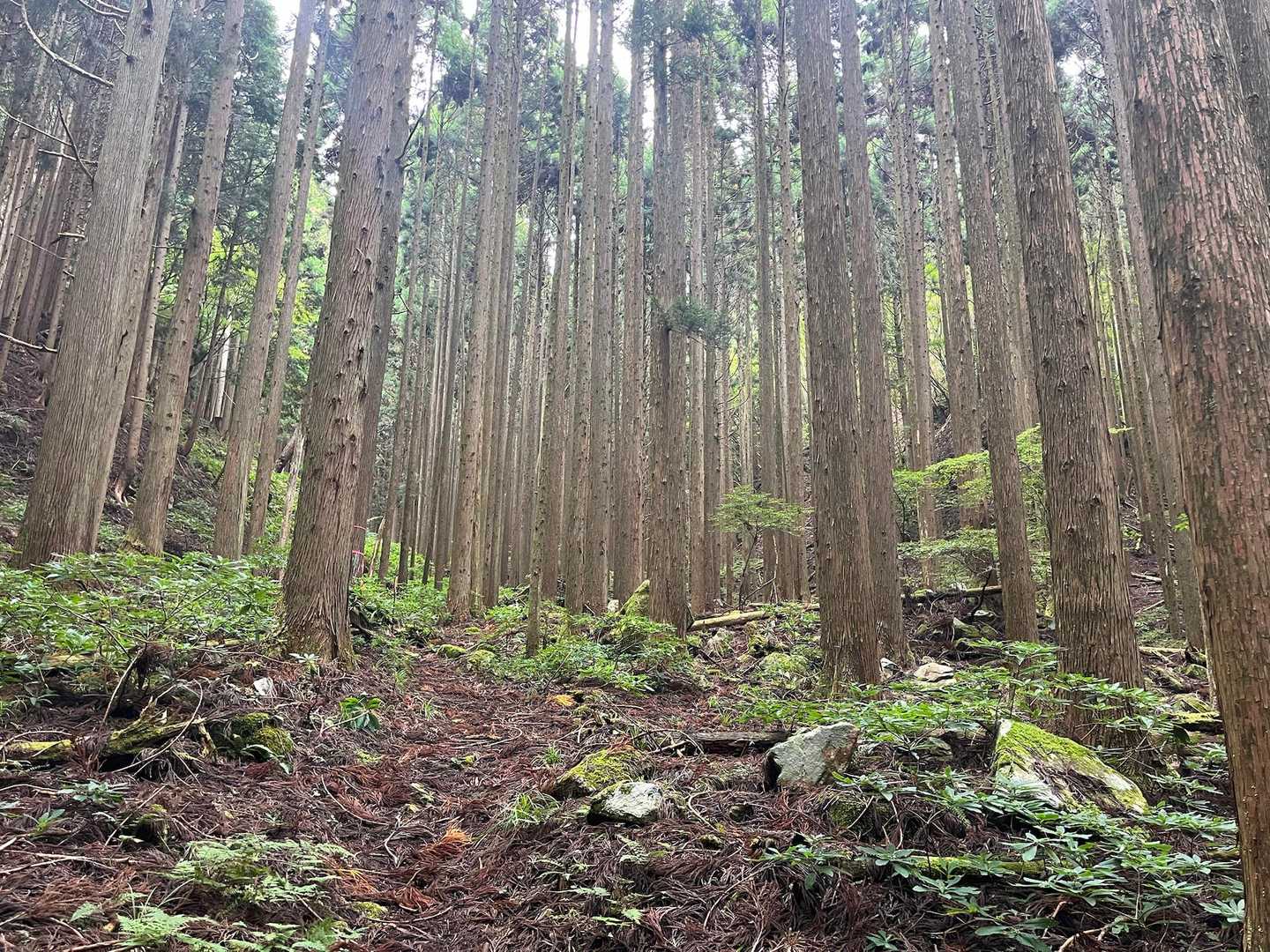 深呼吸