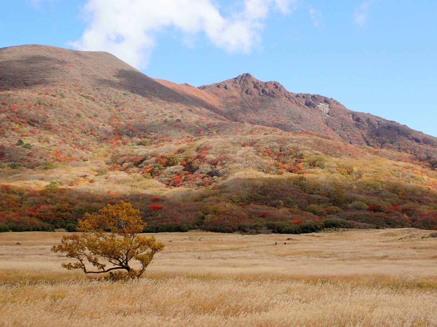 坊がつるから大船山