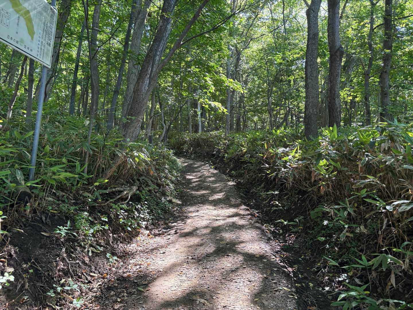 慈啓会病院前コース | 札幌市民の憩いの山で、静かな森を楽しむの写真